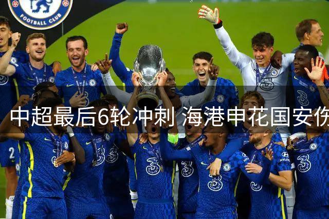 中超最后6轮冲刺 海港申花国安伤员回归前景分析